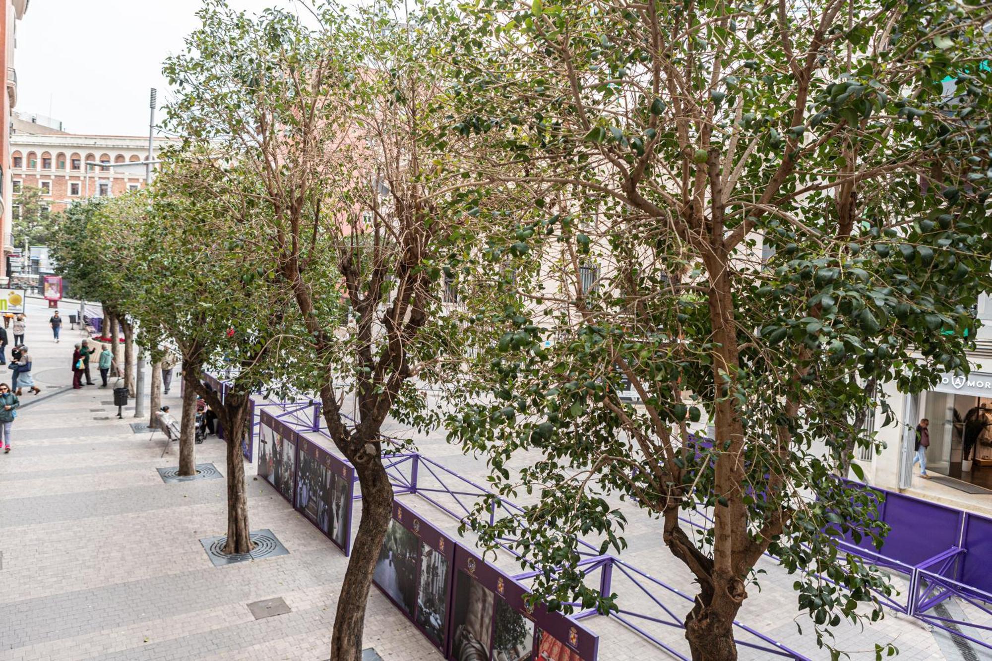 Royar Apartamentos Jaén Dış mekan fotoğraf